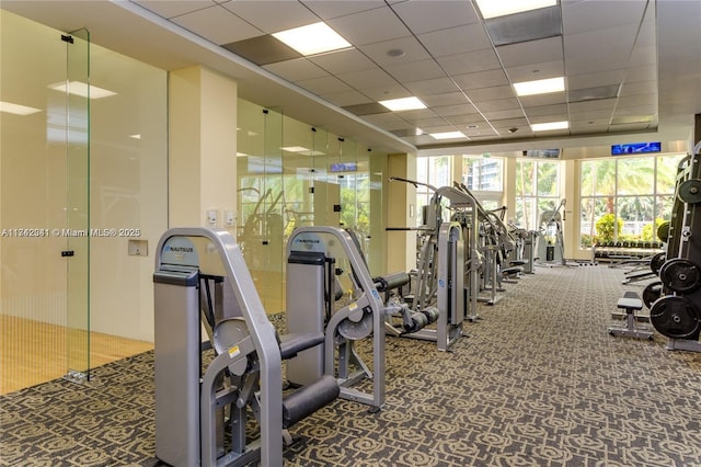 gym featuring carpet and a drop ceiling