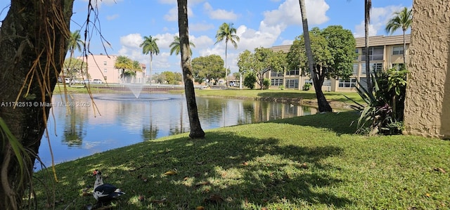 property view of water