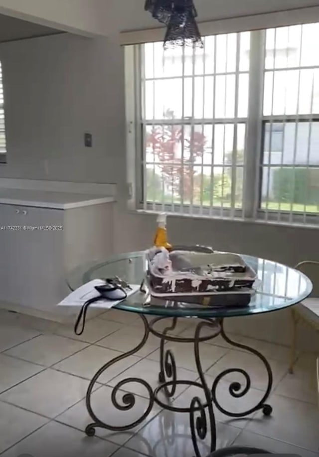 tiled dining room with a healthy amount of sunlight