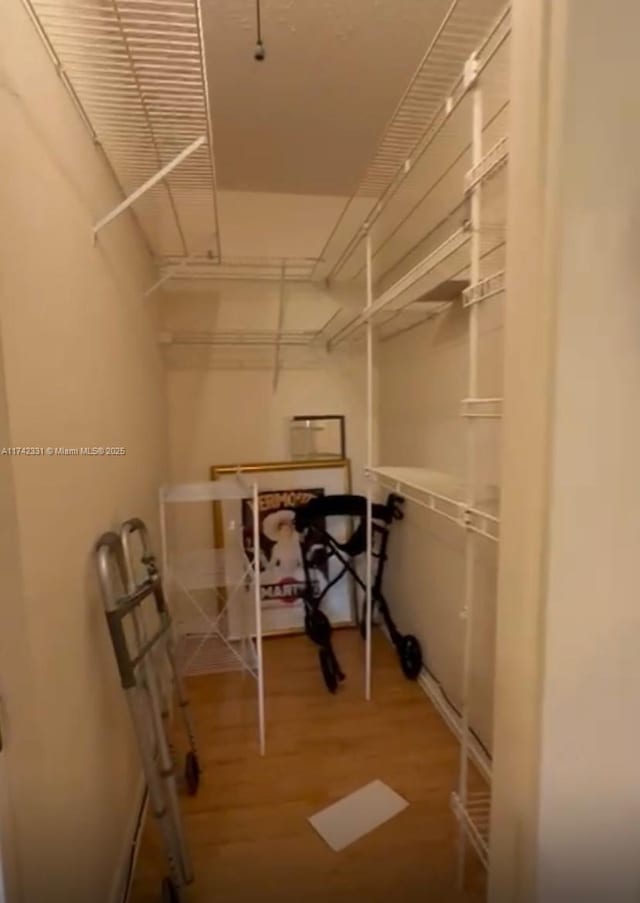 spacious closet featuring hardwood / wood-style floors