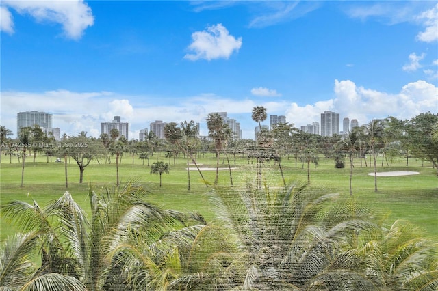 view of property's community featuring a yard