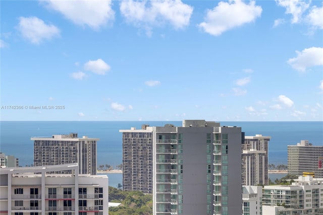 690 SW 1st Ct Unit 3117, Miami, FL 33130 - water view featuring nearby urban area