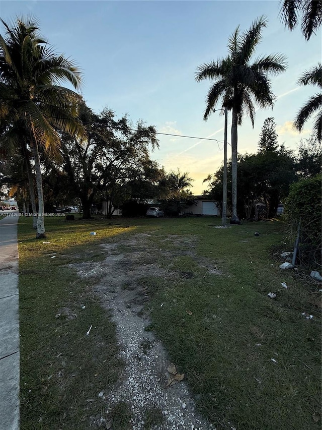 view of yard at dusk