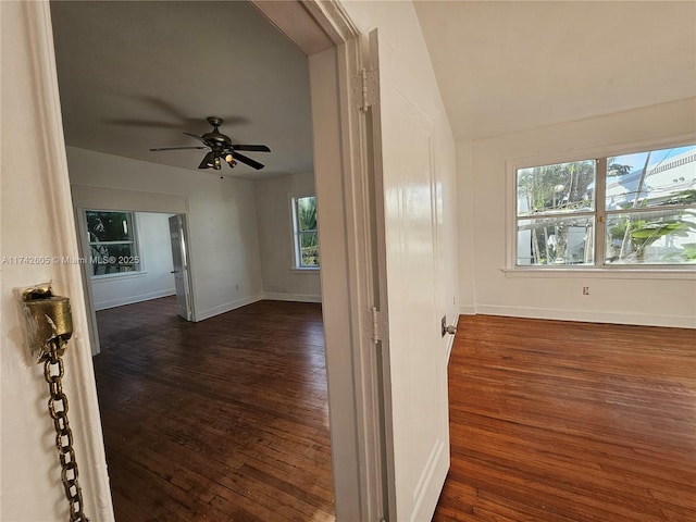 hallway with dark wood-type flooring