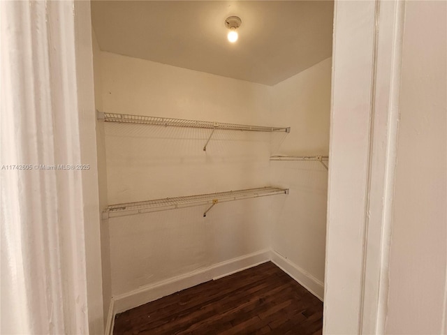 walk in closet featuring dark hardwood / wood-style flooring