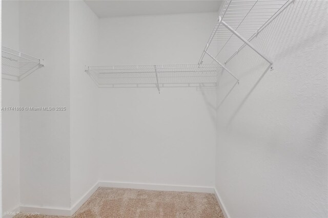 20849 NW 9th Path, Miami Gardens, FL 33169 - walk in closet featuring carpet floors