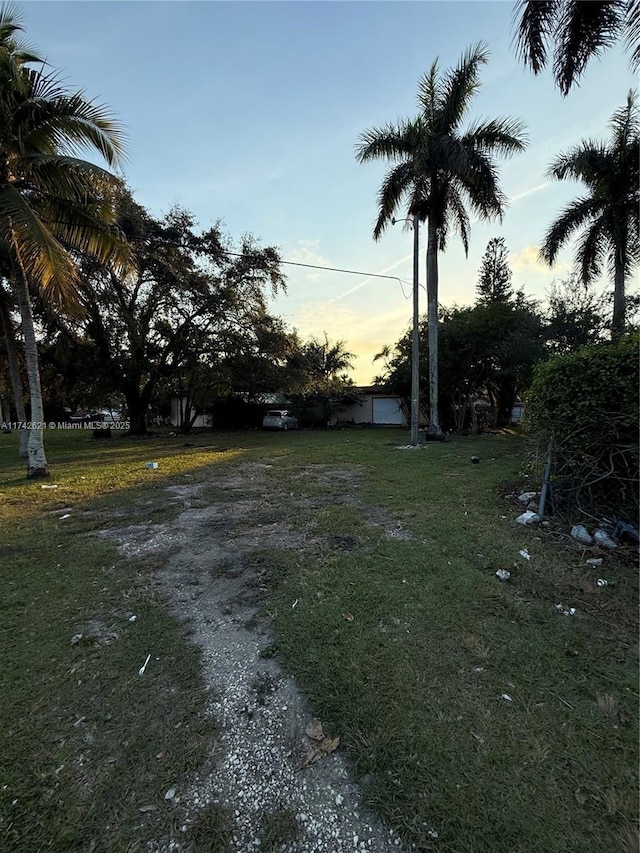 view of yard at dusk