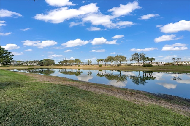 207 Berenger Walk, Royal Palm Beach, FL 33414 - view of water feature