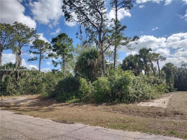 531 Glendale Ave, Banyan Village, La Belle FL, 33935 land for sale