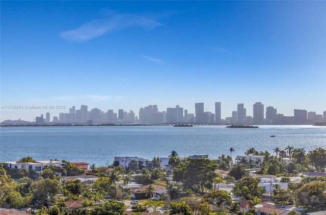 view of water feature with a city view