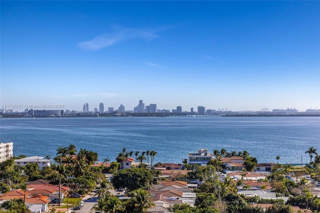 property view of water featuring a view of city