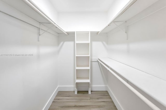 walk in closet with light hardwood / wood-style flooring