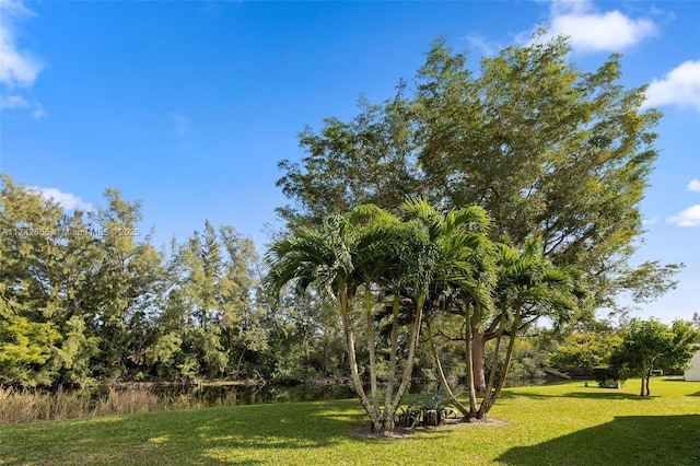 view of yard with a water view