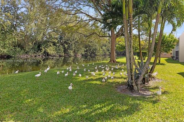 view of yard with a water view