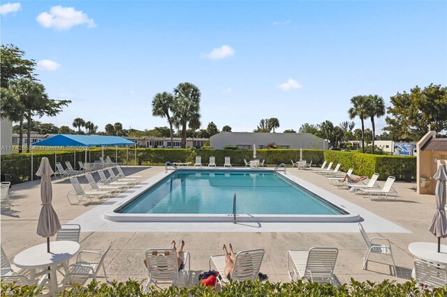 view of pool featuring a patio