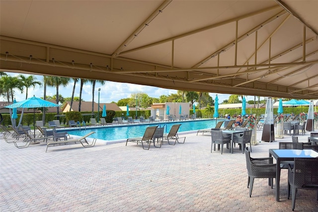 view of pool featuring a patio area