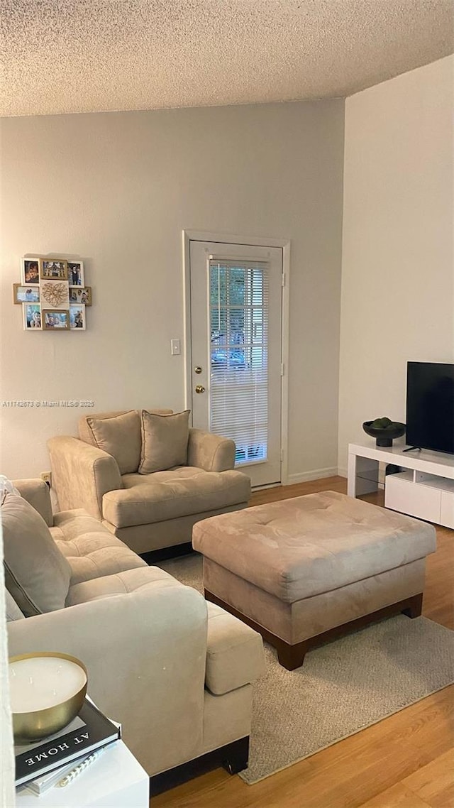 living room featuring wood-type flooring and a textured ceiling