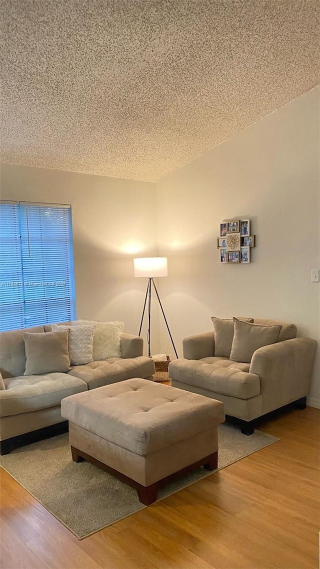 living room with hardwood / wood-style flooring and a textured ceiling