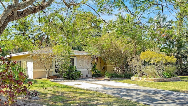 obstructed view of property with a front lawn