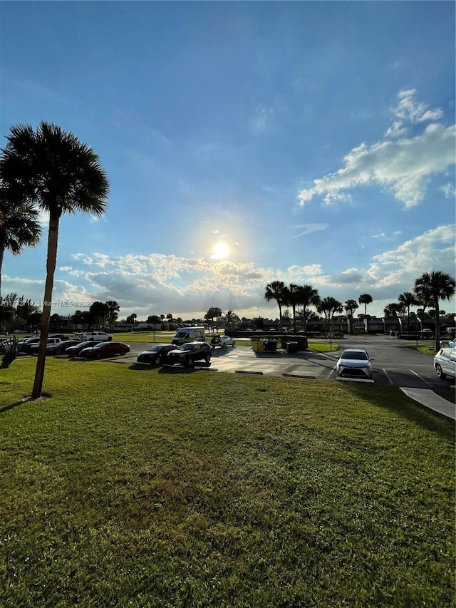 110 Lake Meryl Dr Unit 216, West Palm Beach, FL 33411 - view of yard