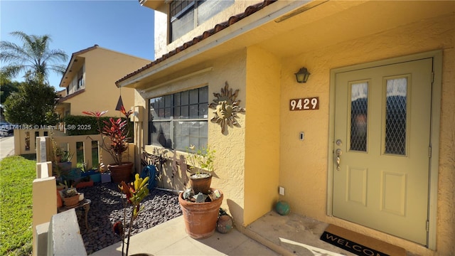 doorway to property with stucco siding