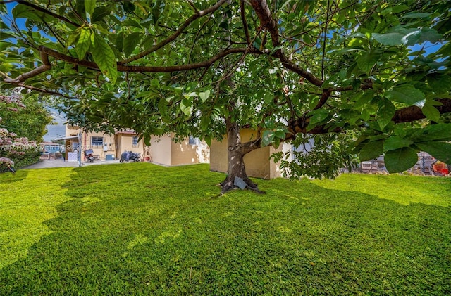 view of yard featuring a patio