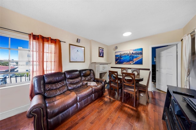 living room featuring dark hardwood / wood-style floors