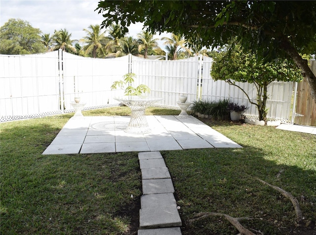 view of yard featuring a patio area and a fenced backyard