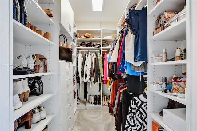 view of walk in closet