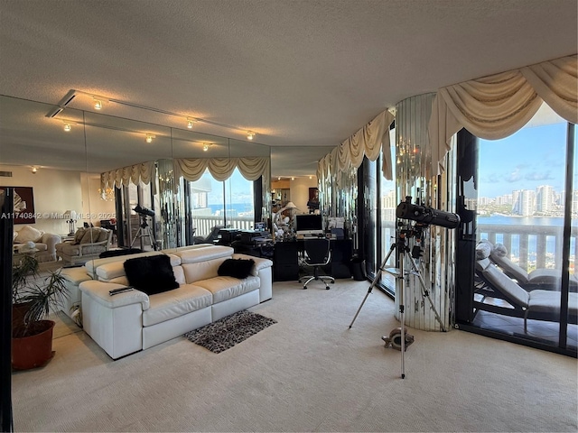 carpeted living room featuring a textured ceiling