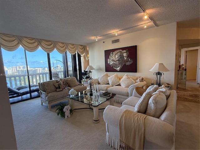 carpeted living room with track lighting and a textured ceiling