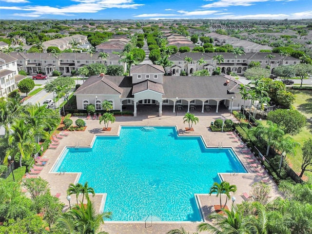 view of swimming pool with a patio area