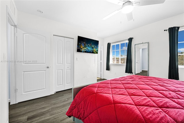 bedroom featuring dark hardwood / wood-style floors and ceiling fan