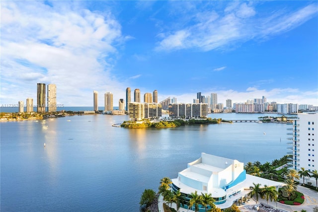 3330 NE 190th St Unit 1715, Aventura, FL 33180 - water view with a view of skyline