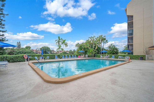 view of swimming pool featuring a patio