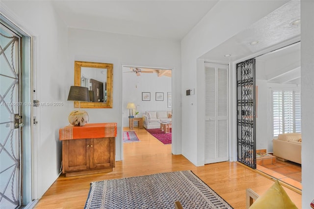 foyer entrance with light hardwood / wood-style floors