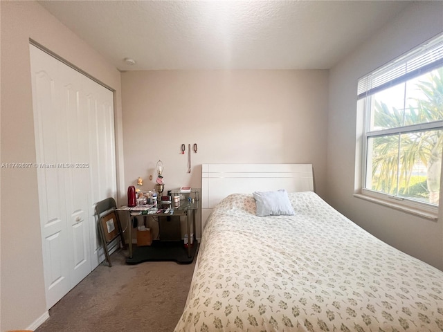6411 Osprey Landing St, Davie, FL 33314 - carpeted bedroom with a closet