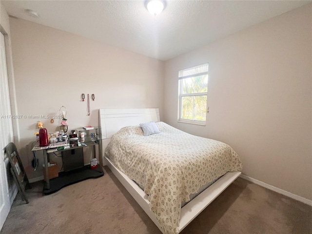 6411 Osprey Landing St, Davie, FL 33314 - bedroom featuring baseboards and carpet