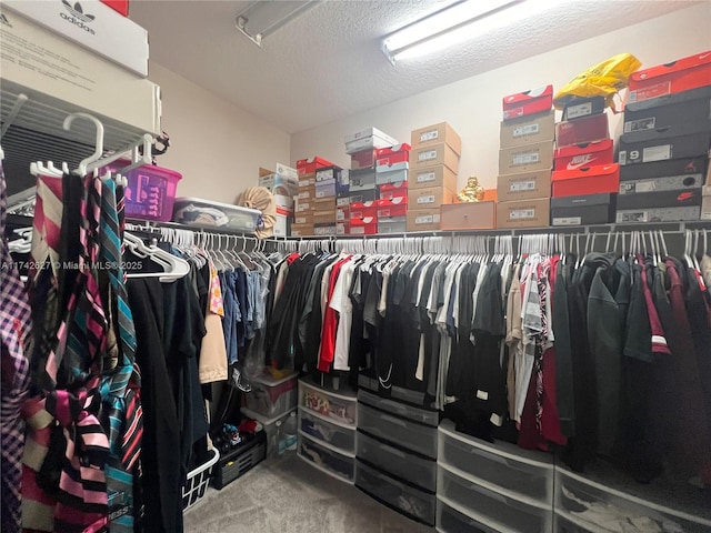 6411 Osprey Landing St, Davie, FL 33314 - walk in closet with carpet floors