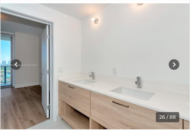 bathroom with hardwood / wood-style flooring and vanity