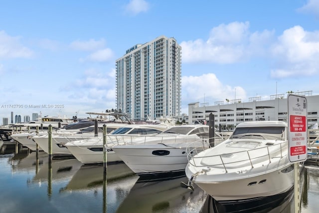 view of dock with a water view