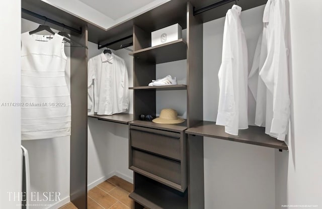 view of walk in closet