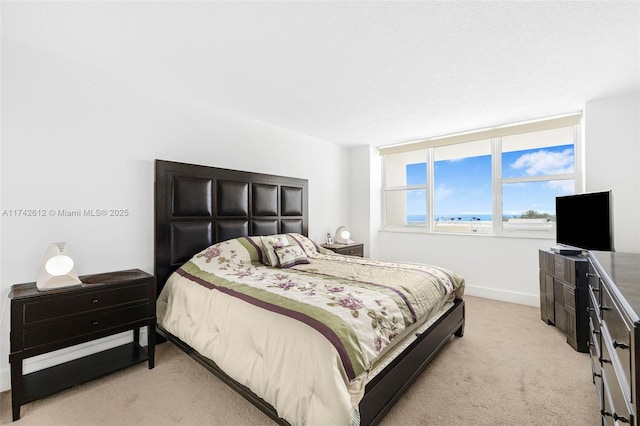 bedroom with light carpet