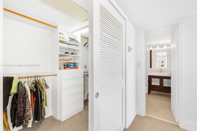 3180 S Ocean Dr Unit 511, Hallandale Beach, FL 33009 - spacious closet with light colored carpet