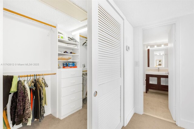 spacious closet featuring light colored carpet