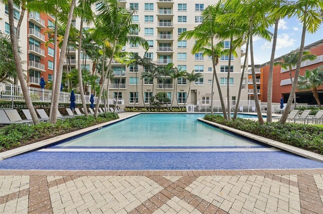 2000 N Bayshore Dr Unit 304, Miami, FL 33137 - view of community pool