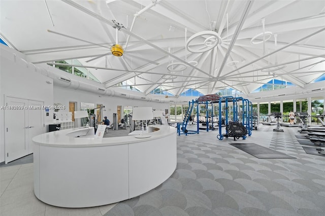 gym featuring lofted ceiling