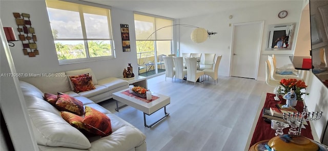 living room featuring light wood-type flooring