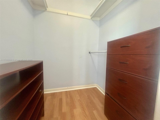 spacious closet featuring light wood-style floors