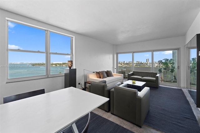 living room with a water view and plenty of natural light